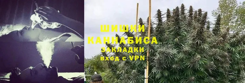 Бошки Шишки White Widow  наркота  Бутурлиновка 